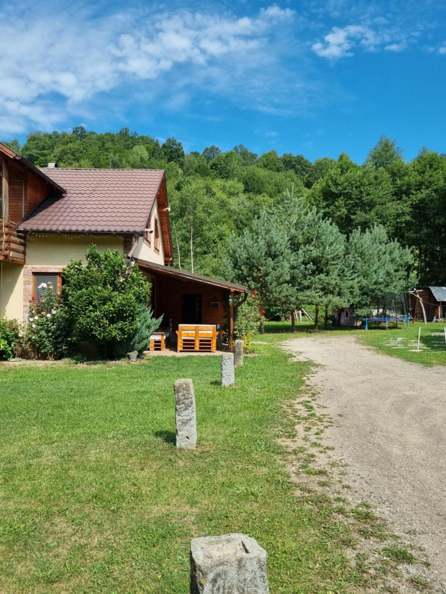 Katalin Kulcsoshaz Hotel Baile Chirui Exterior photo